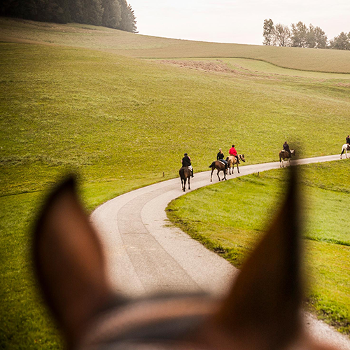 Reitwochenende Mühlviertler Alm