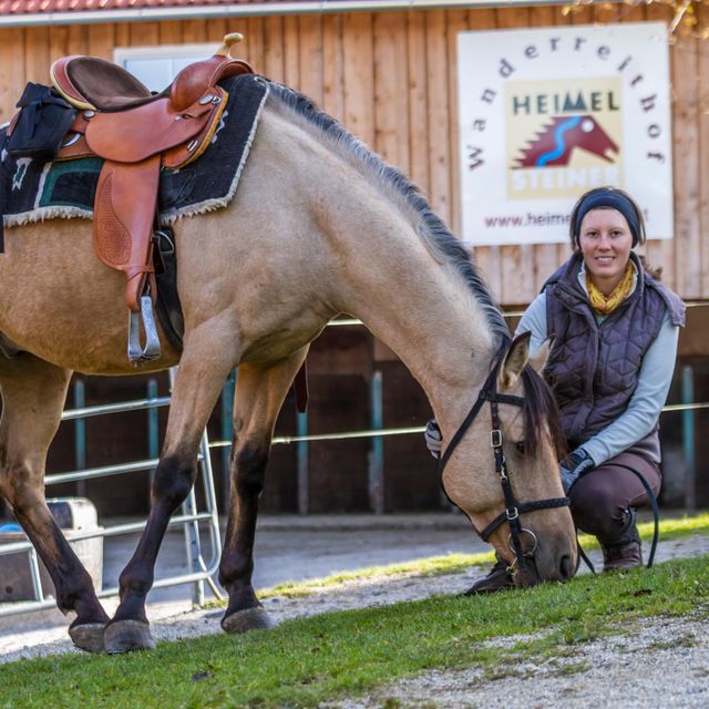 Wanderreithof Heimelsteiner | Mühlviertel