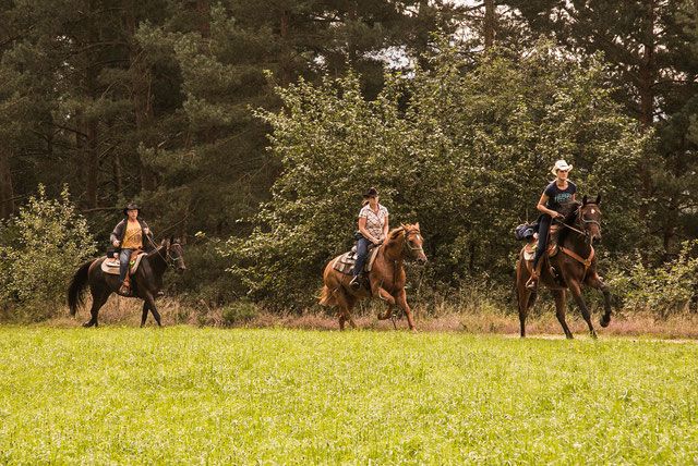 Wanderreitwoche & Sternritte