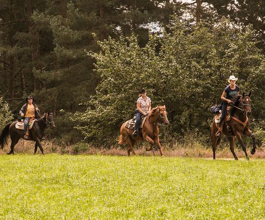 Wanderreitwoche & Sternritte