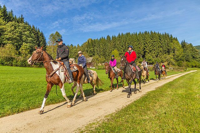 Wanderreitwoche & Sternritte