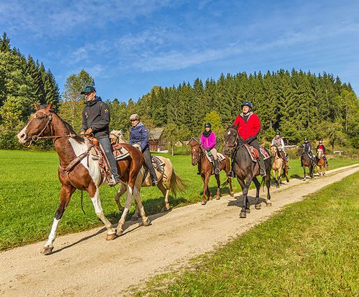 Wanderreitwoche & Sternritte