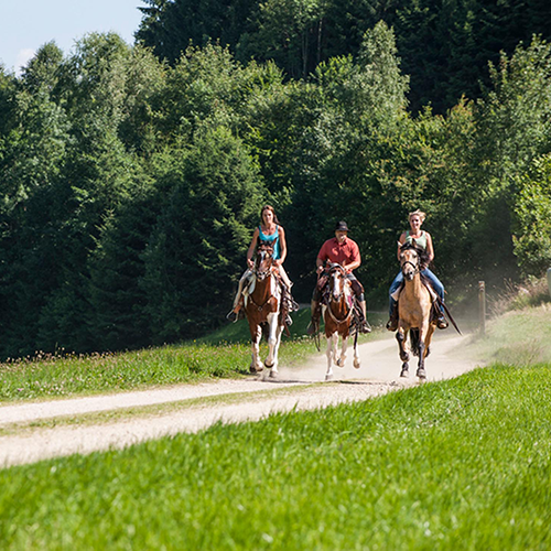 Verlängertes Reitwochenende