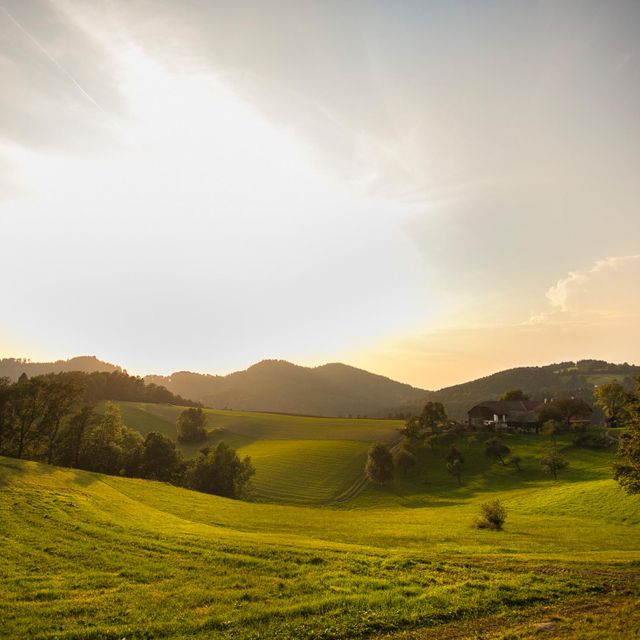 Mühlviertler Alm