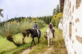 Reiten im Mühlviertel