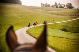 Wanderreiten Mühlviertel