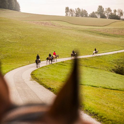 Wanderreiten Mühlviertel