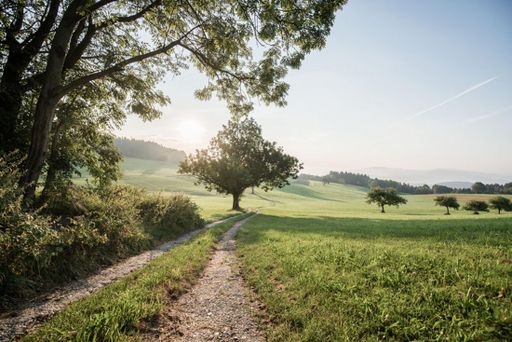 Wanderurlaub im Mühlviertel
