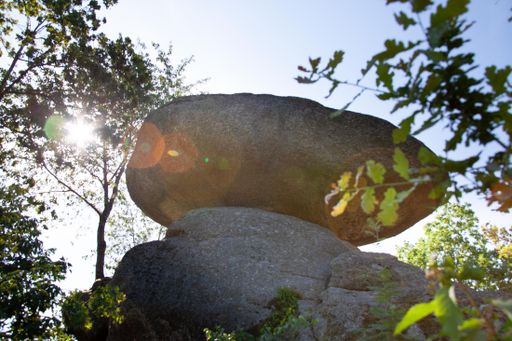Wanderurlaub im Mühlviertel