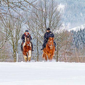 Silvester auf der Alm
