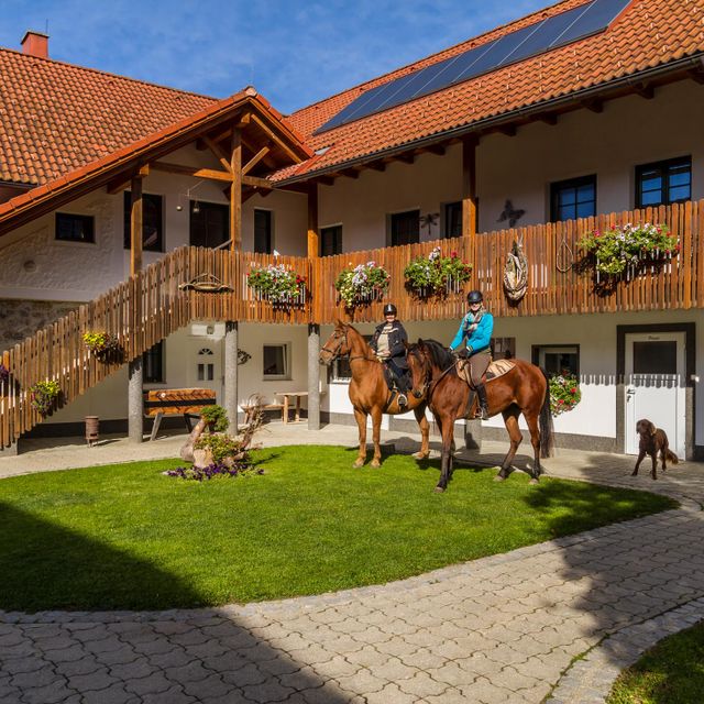 Wanderreithof Heimelsteiner | Mühlviertel