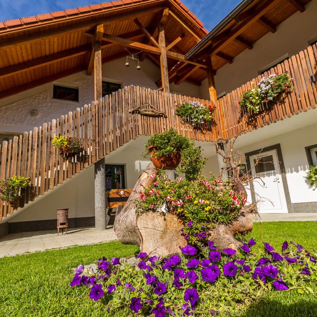 Wanderreithof Heimelsteiner | Mühlviertel