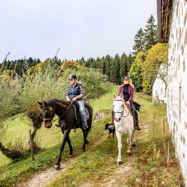 Wanderreitwoche & Sternritte