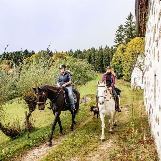 Wanderreitwoche & Sternritte