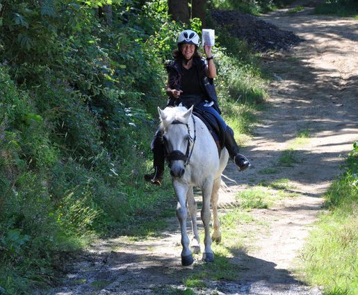 Wanderreiten Mühlviertel