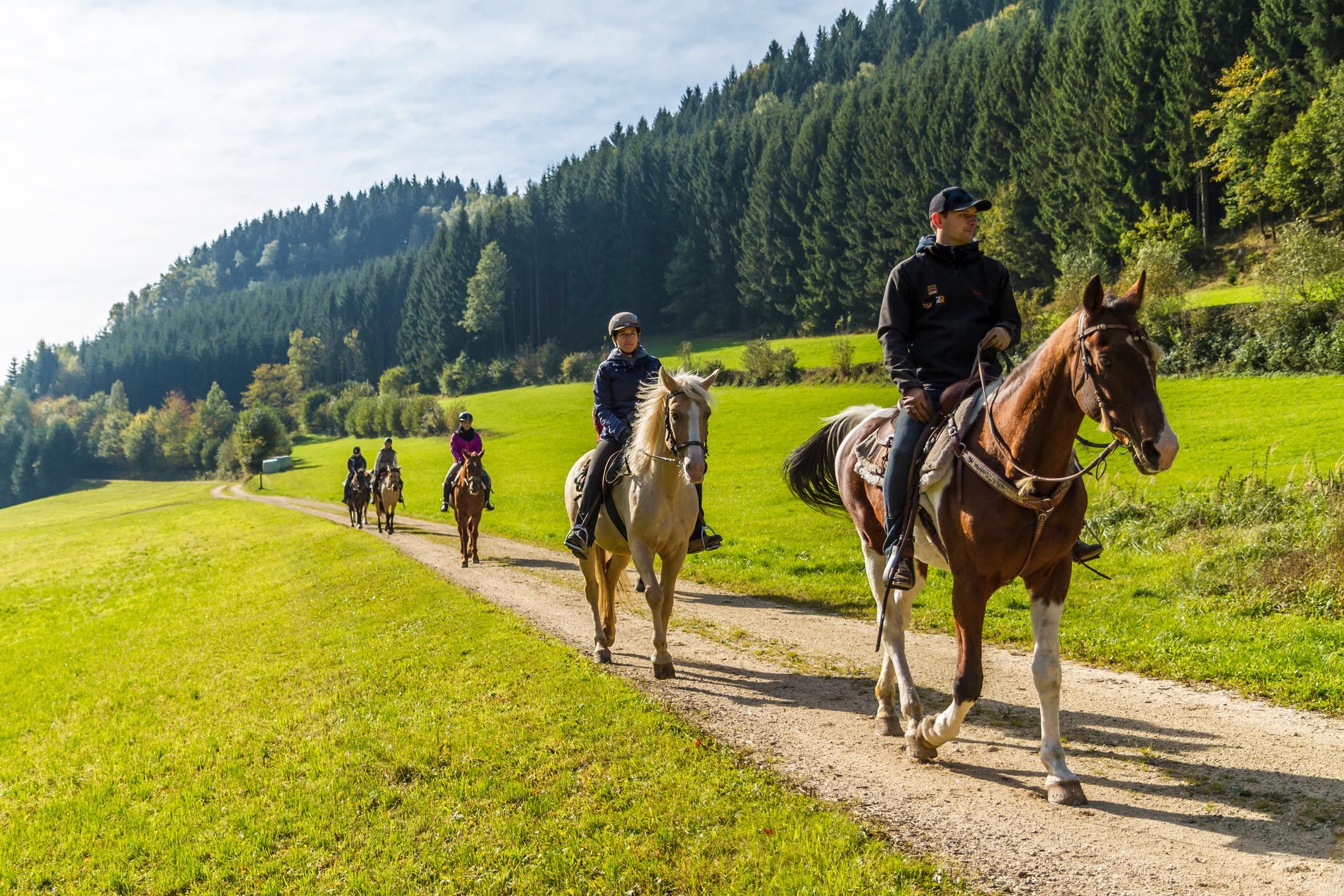 Mühlviertler Alm