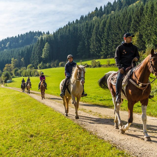Mühlviertler Alm