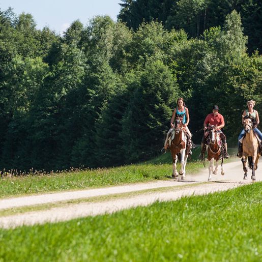 Verlängertes Reitwochenende | Mühlviertel