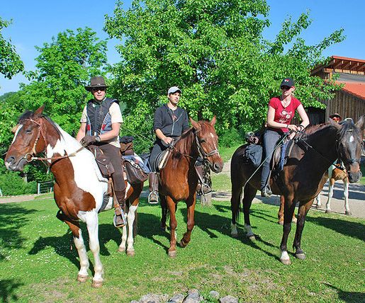 Reitwochenende im Mühlviertel