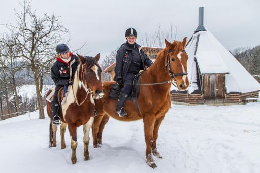 Wanderreithof Heimelsteiner im Mühlviertel