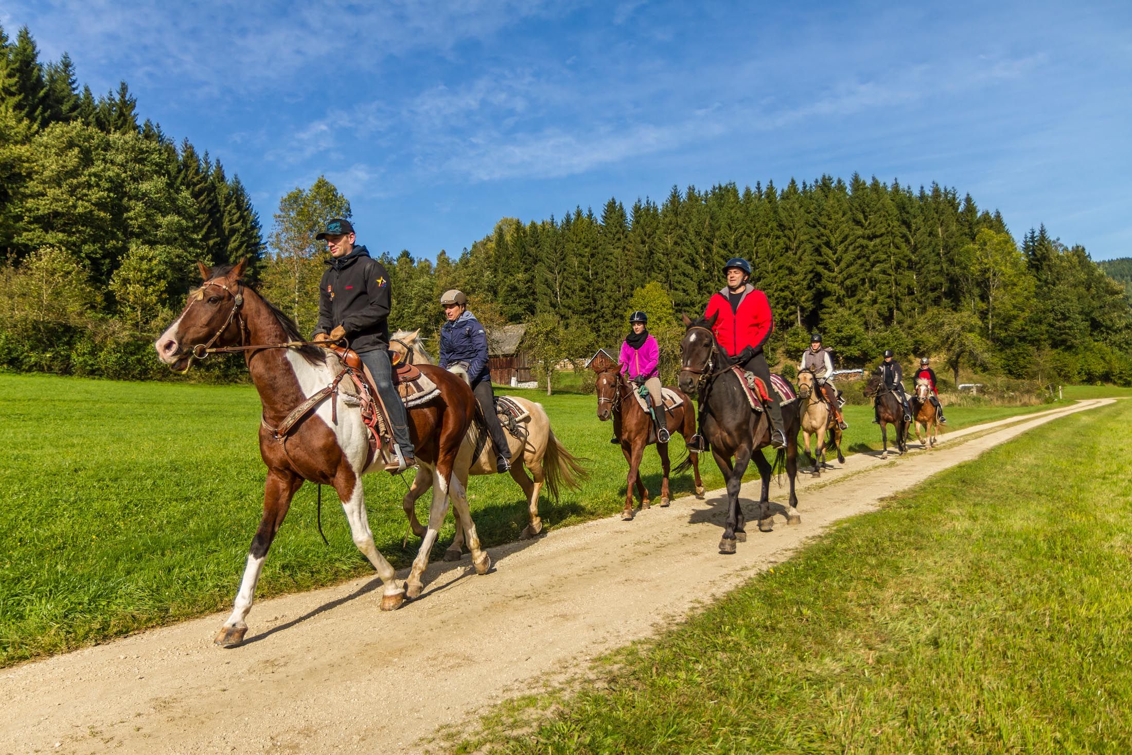 Mühlviertler Alm
