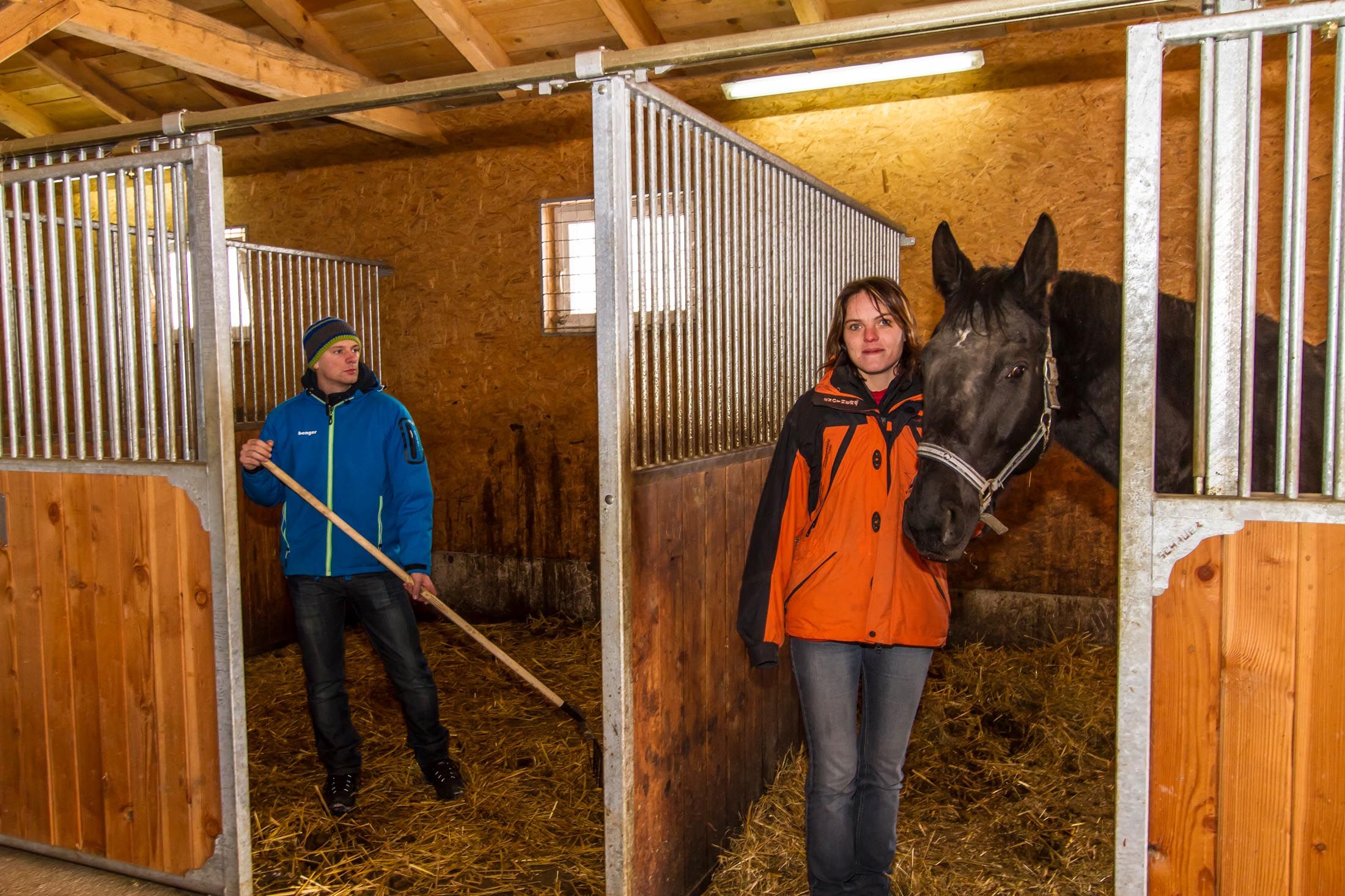 Reiturlaub im Mühlviertel