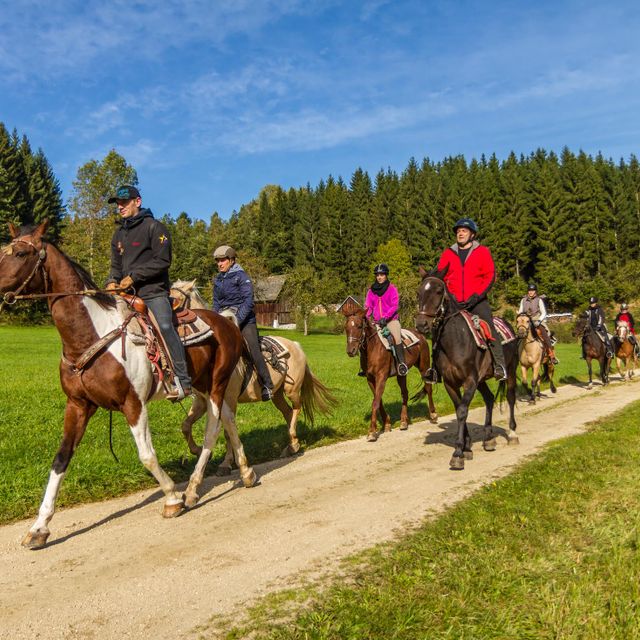 Wanderreitwoche & Sternritte