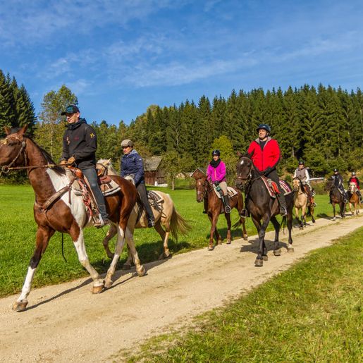 Wanderreitwoche & Sternritte
